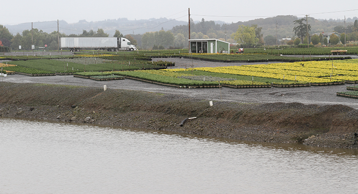 Drain tiles at Monrovia in Dayton, Oregon, lead to pipes that discharge to water retention ponds. The water is treated and reused. It’s estimated that each drop of water at Monrovia is used five times. Photo by Curt Kipp