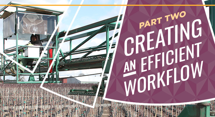 Creating an efficient workflow