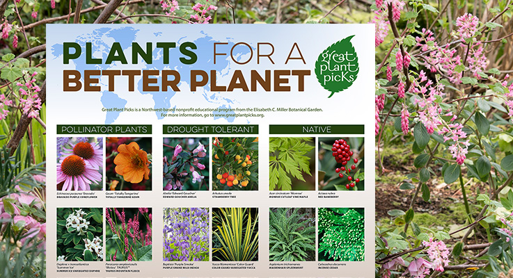 Plants For A Better Planet, Minnesota Native Landscapes Catalog